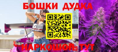 мдпв Гатчина