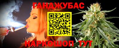 мдпв Гатчина