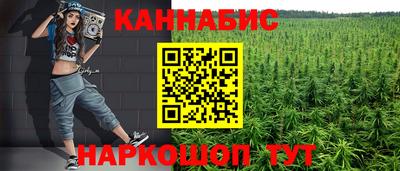 мдпв Гатчина