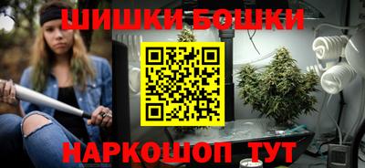 мдпв Гатчина