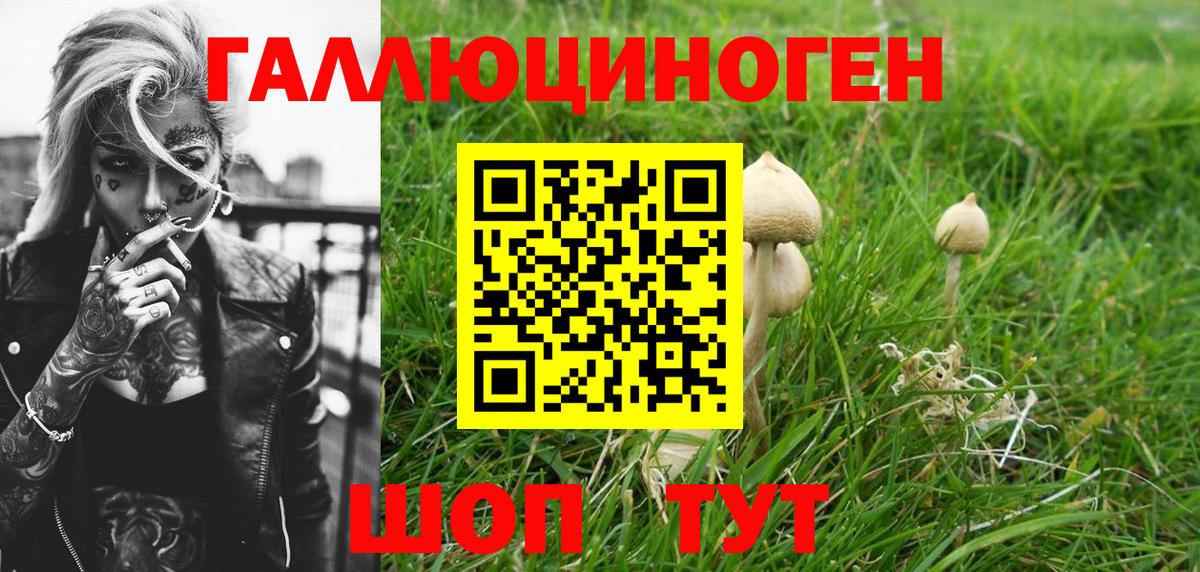 Галлюциногенные грибы Magic Shrooms Губкин